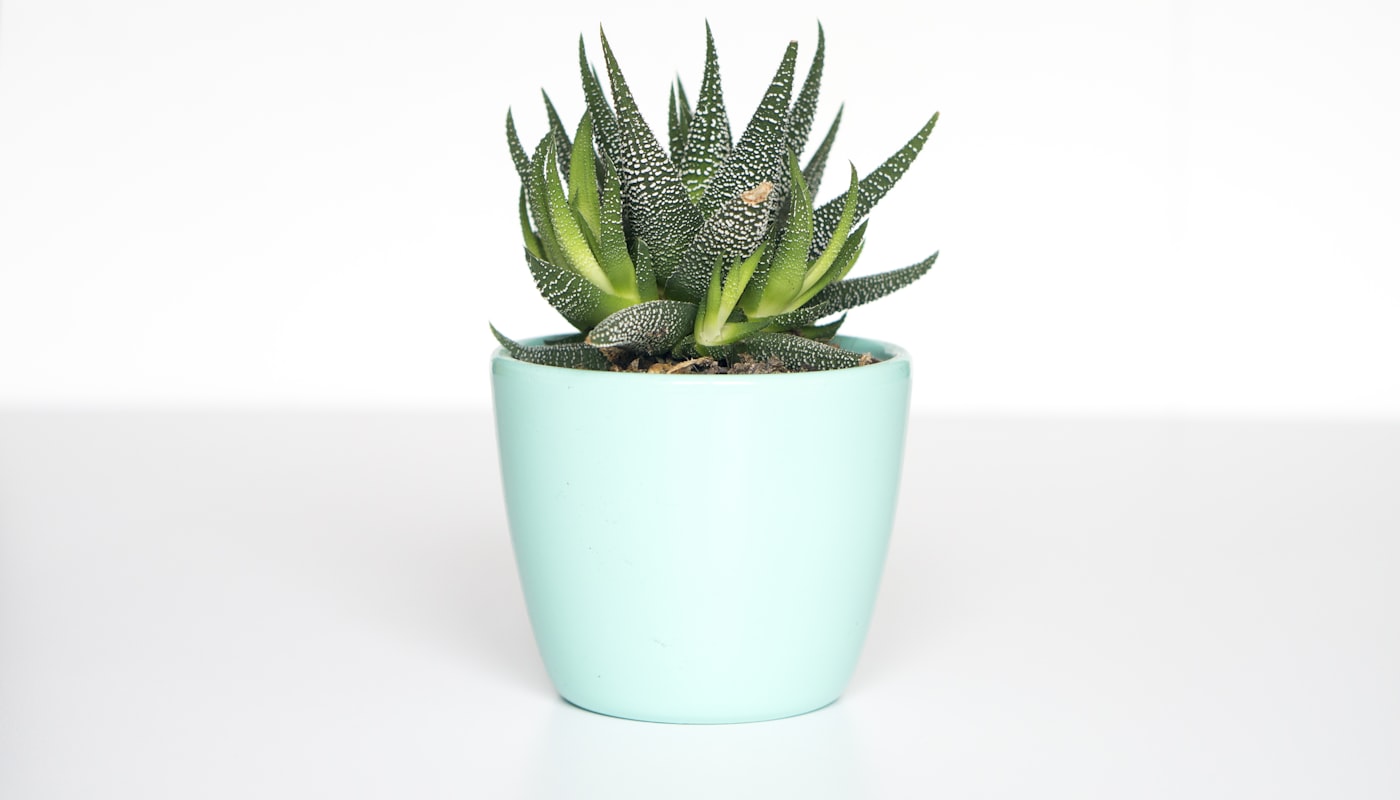 Refresh the home
